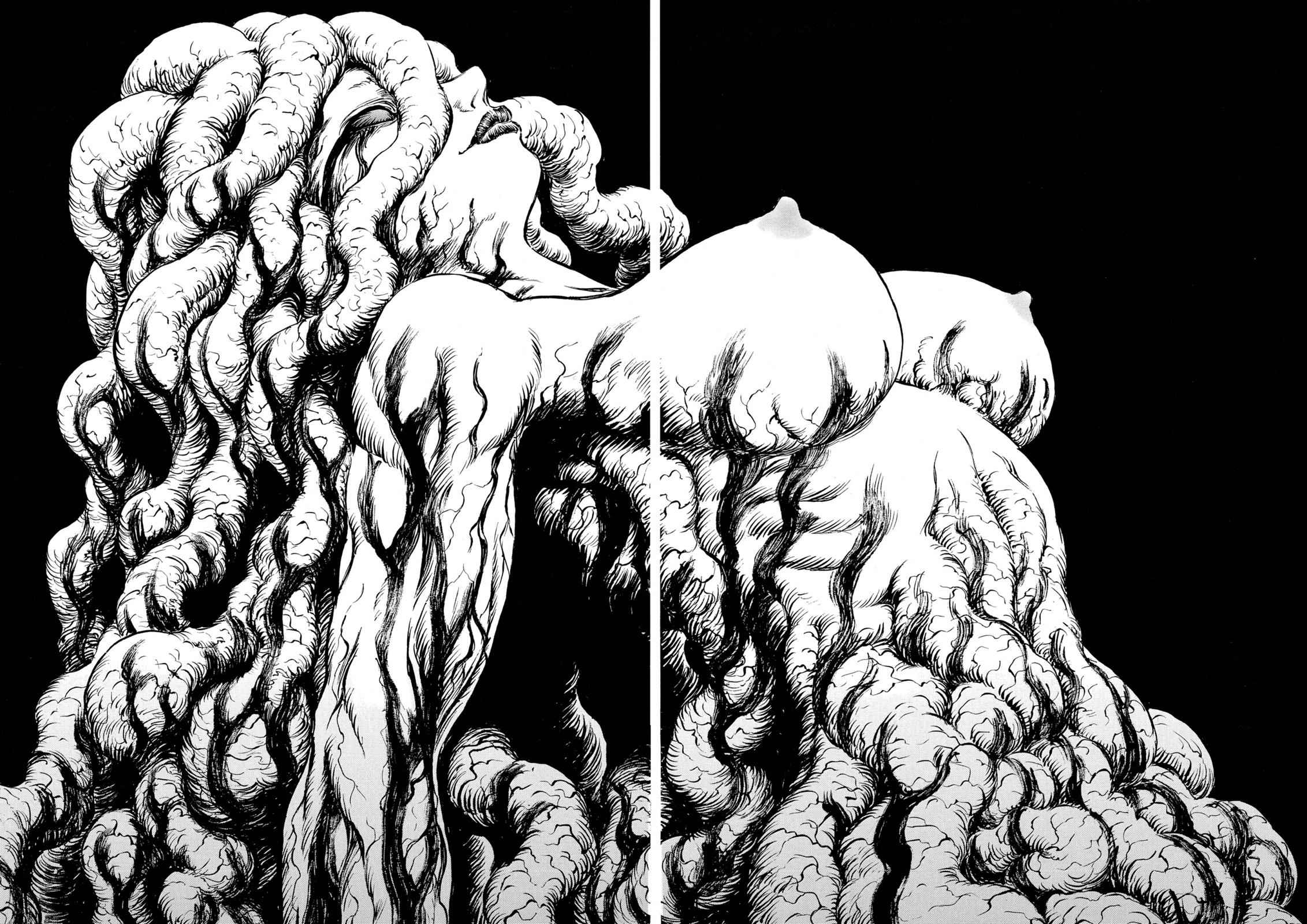 One Piece Manga Berserk Chapter 219 - Page 9